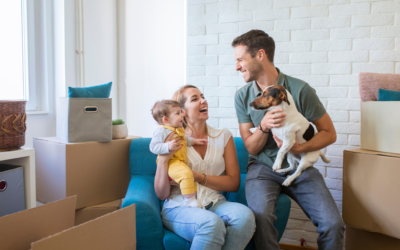 Moving to the UK with pets: what to plan before you make the move